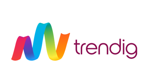 trendig technology services